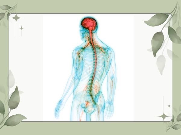 Fibromyalgia_ Types, Symptoms, Diagnosis & Treatment