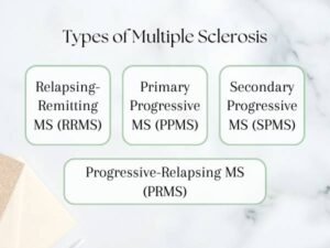 Types of Multiple Sclerosis