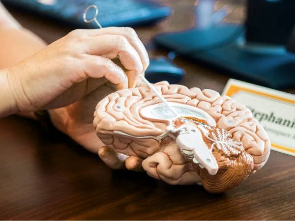 Brain Shunt Surgery_ What Is It