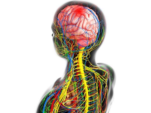 The Process of Consent Brain Shunt System