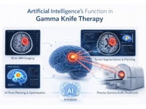 AI in Gamma Knife therapy process